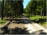 Koča na Klopnem vrhu - Posestvo Šumik